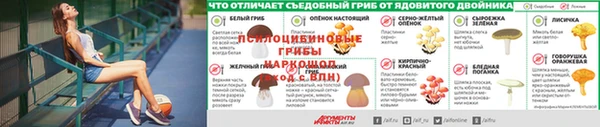 а пвп мука Покров