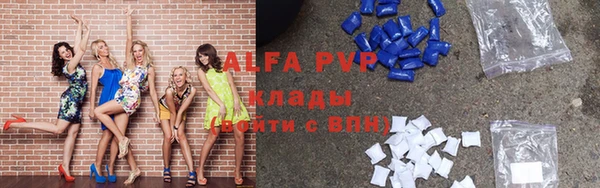 индика Покровск