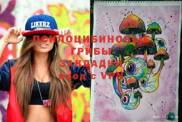 индика Покровск