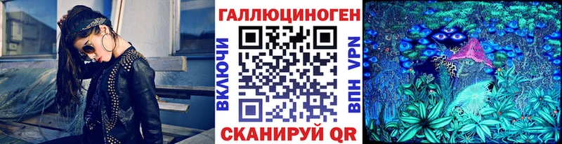Псилоцибиновые грибы GOLDEN TEACHER  Купить где  Холмск 